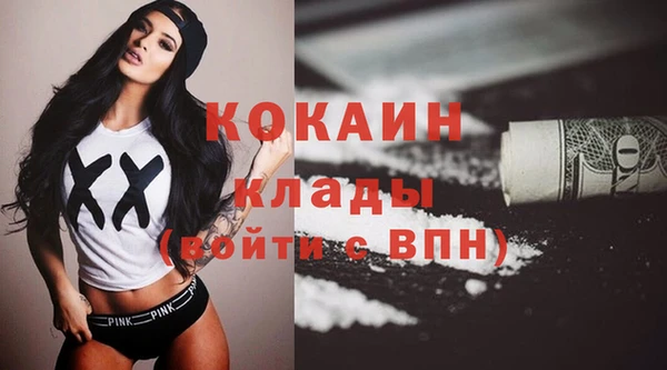кокс Ельня
