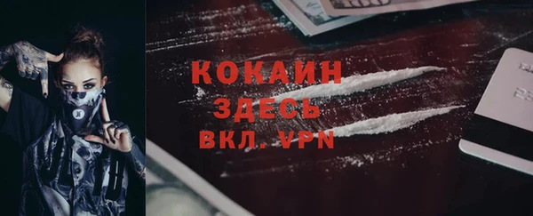ALPHA-PVP Елизово