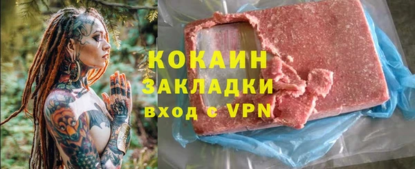 кокс Ельня