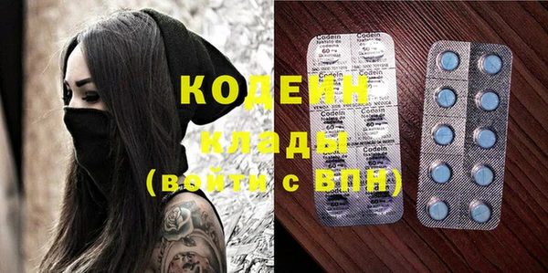 кокс Ельня