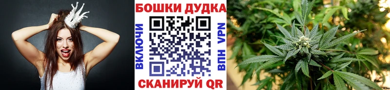 Купить  Никольск  Конопля планчик 